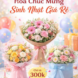 Hoa sinh nhật giá rẻ